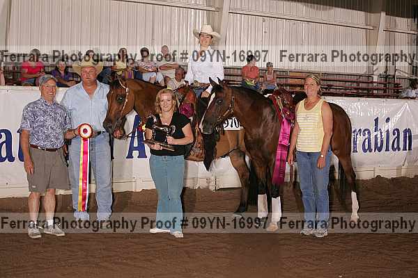 Proof 09yn-16997