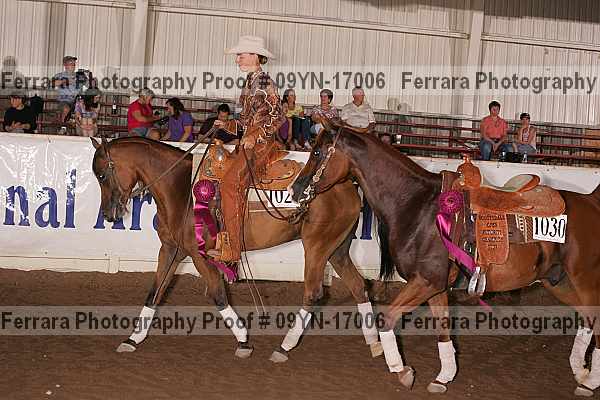 Proof 09yn-17006