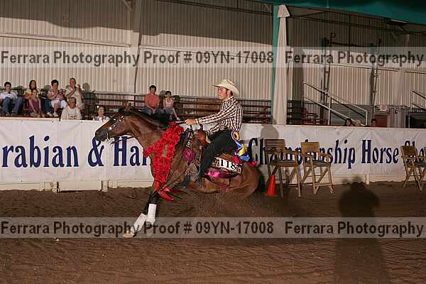 Proof 09yn-17008