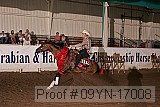 09yn-17008 proof
