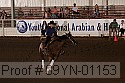 09yn-01153 proof