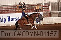 09yn-01157 proof