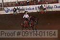 09yn-01164 proof