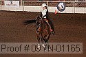 09yn-01165 proof