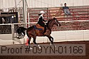 09yn-01166 proof