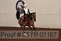 09yn-01167 proof