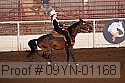 09yn-01168 proof