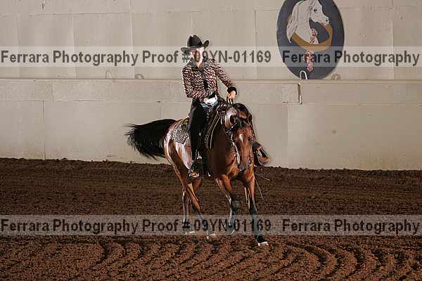 Proof 09yn-01169