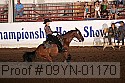 09yn-01170 proof