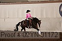 09yn-01172 proof