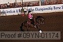 09yn-01174 proof