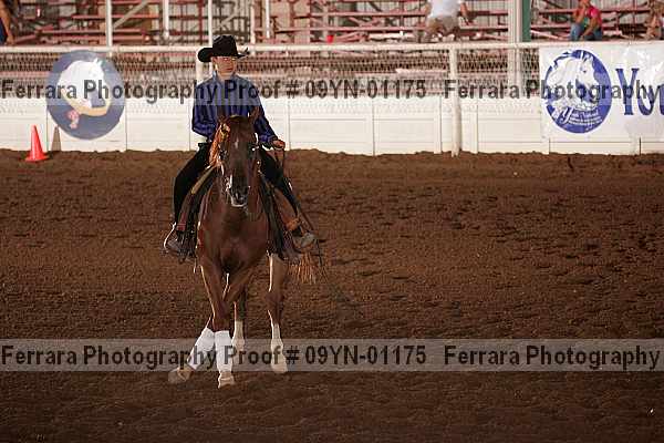 Proof 09yn-01175