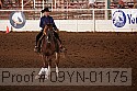 09yn-01175 proof