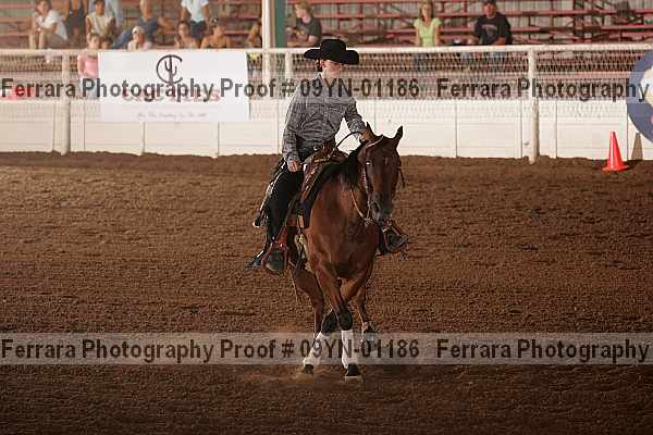 Proof 09yn-01186