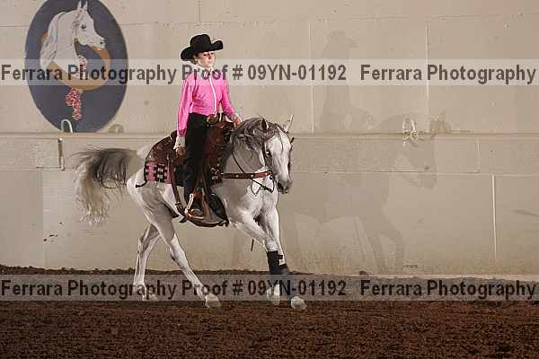 Proof 09yn-01192