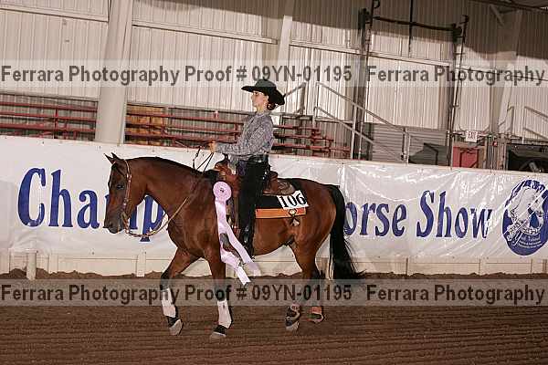 Proof 09yn-01195