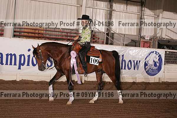 Proof 09yn-01196