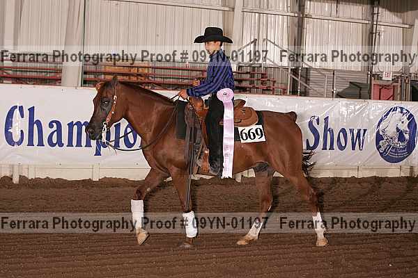 Proof 09yn-01197
