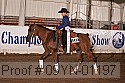 09yn-01197 proof