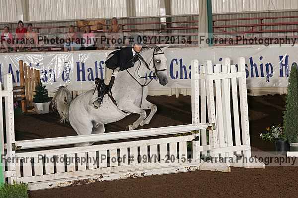 Proof 09yn-20154