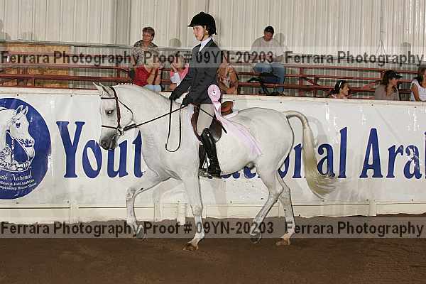 Proof 09yn-20203