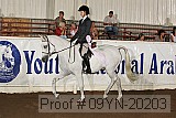 09yn-20203 proof