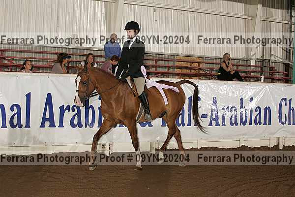 Proof 09yn-20204
