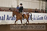 09yn-20204 proof
