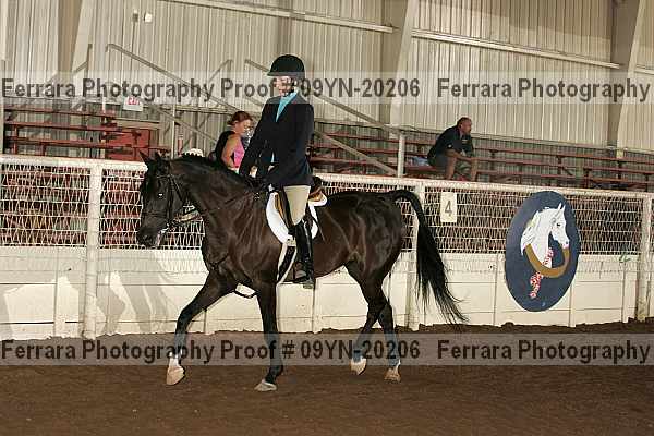 Proof 09yn-20206