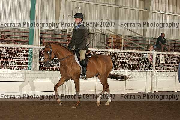 Proof 09yn-20207