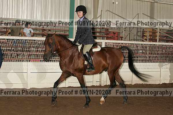 Proof 09yn-20208