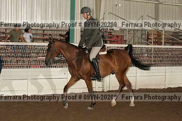 Proof 09yn-20209