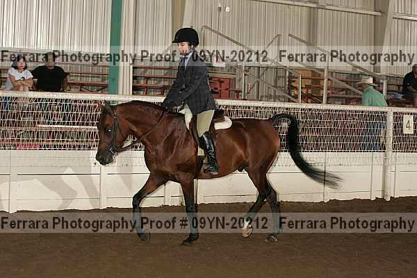 Proof 09yn-20212