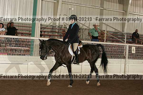 Proof 09yn-20213
