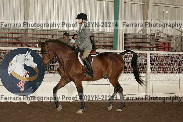Proof 09yn-20214