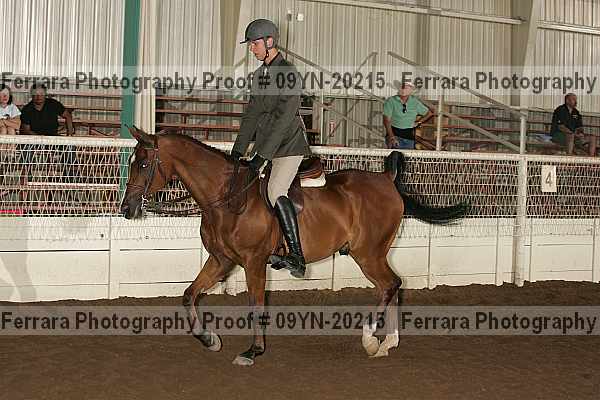 Proof 09yn-20215