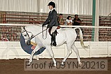 09yn-20216 proof