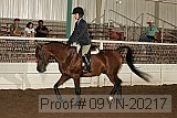 09yn-20217 proof