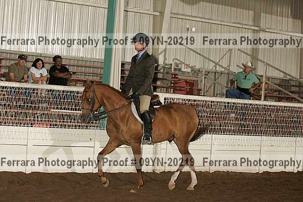 Proof 09yn-20219