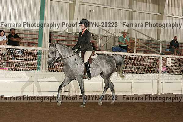 Proof 09yn-20223