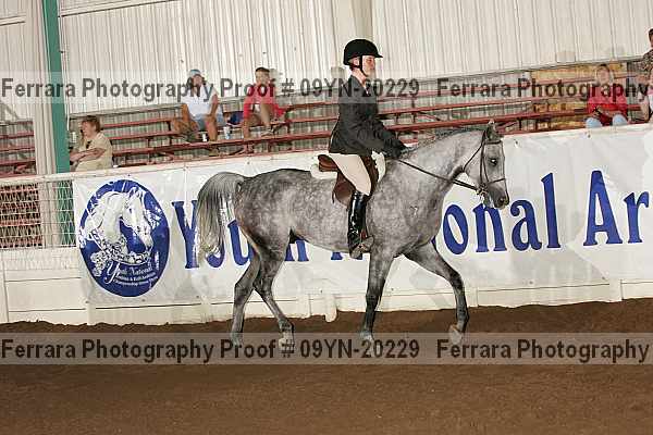 Proof 09yn-20229