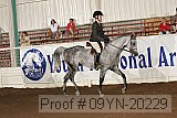 09yn-20229 proof