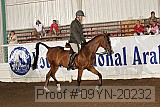09yn-20232 proof