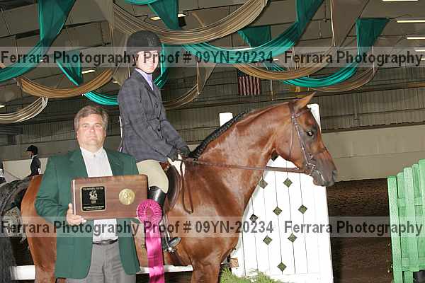Proof 09yn-20234