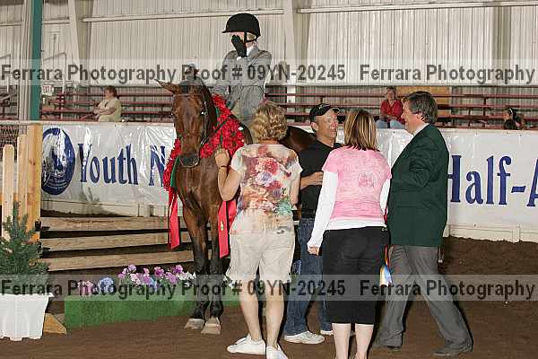 Proof 09yn-20245