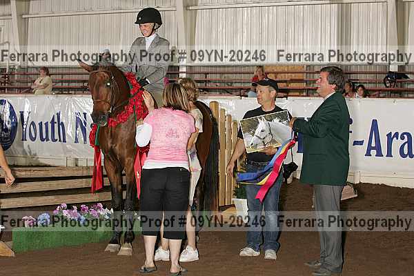 Proof 09yn-20246