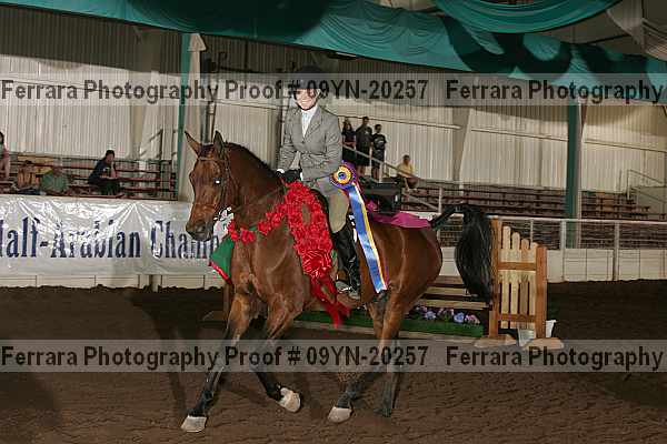 Proof 09yn-20257