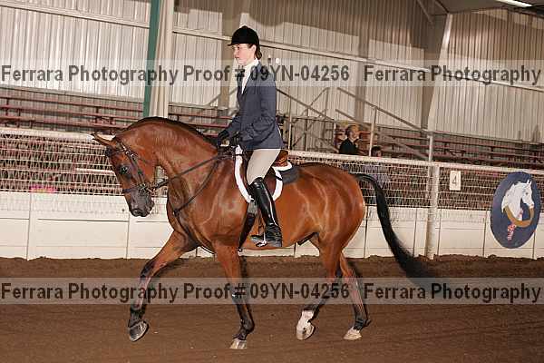 Proof 09yn-04256