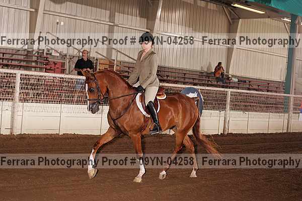 Proof 09yn-04258
