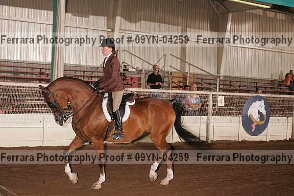 Proof 09yn-04259